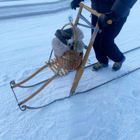 Tromsø